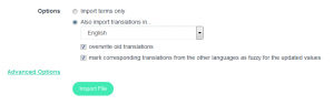 Import Terms and Translation in Project Page - POEditor Software Localization Platform
