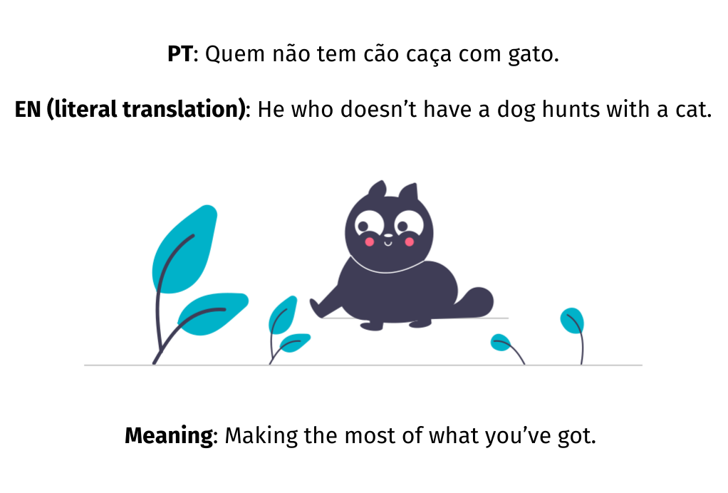 cat drawing with text about translating idioms